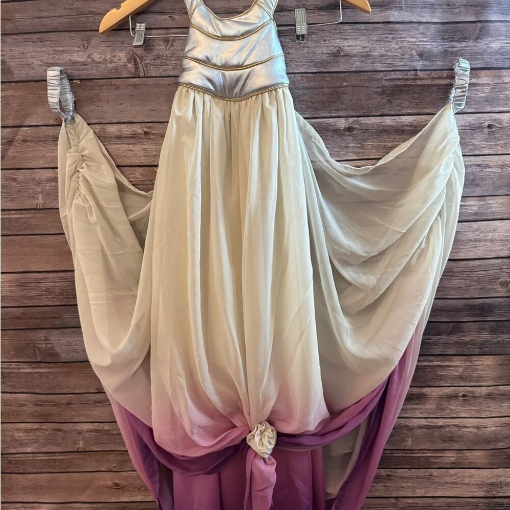 Princess Amidala Silver and Ombre Purple Gown